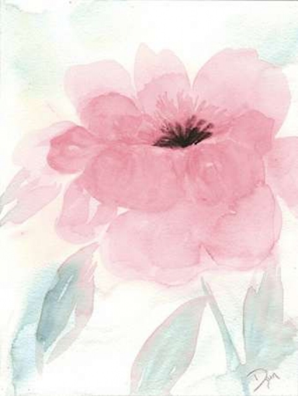 Blush Peony I Poster Print by Beverly Dyer - Item # VARPDXBD5RC006A2